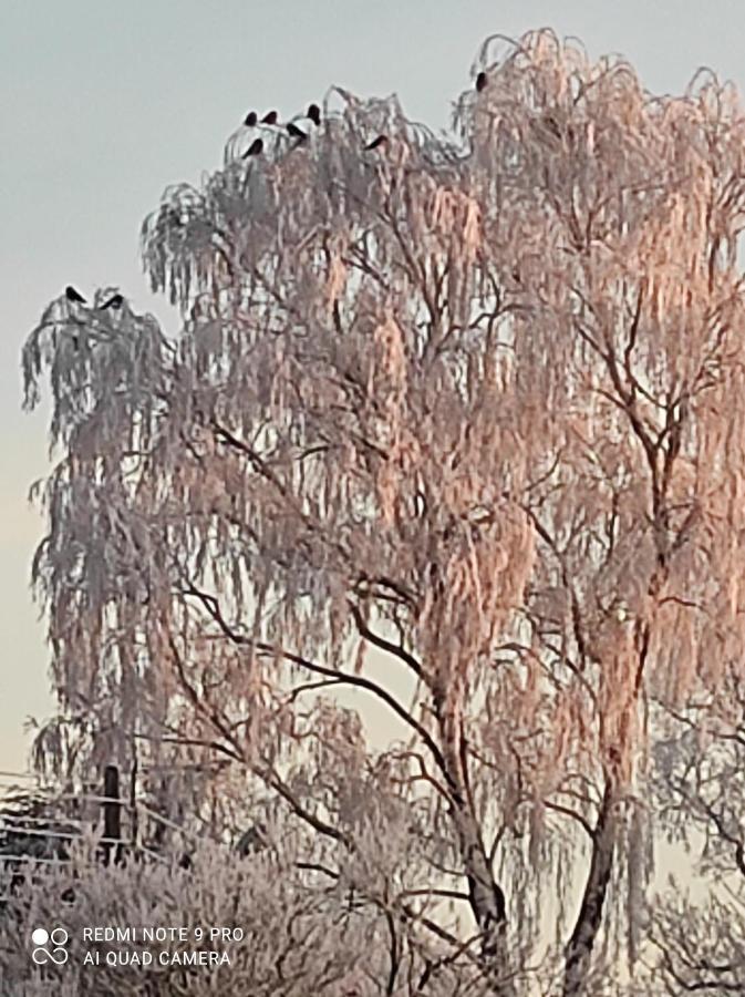 斯维诺乌伊希切Zakatek Zurawi 2别墅 外观 照片